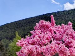 -玉龙雪山蓝月谷