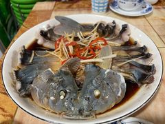 -煲来饱去冷水鱼