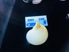 洋葱螺-贝壳梦幻世界