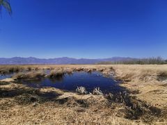 -野鸭湖国家湿地公园
