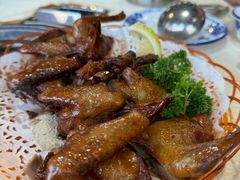 -一煲鸽