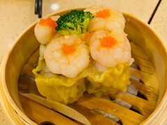 -点都德(华强南店)