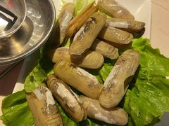蛏子-海煮叹鲜·粥底火锅·港式海鲜打边炉(赛银国际广场店)