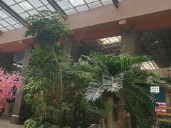 -九华山酒店温泉