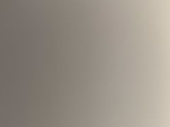 -海豚之星游泳俱乐部(喜来登馆)