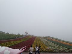 门面-东部华侨城
