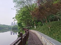 -重庆彩云湖湿地公园