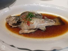 -宝轩渔府·老字号海鲜·正宗津菜(水上店)