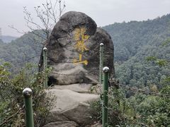 -南山植物园
