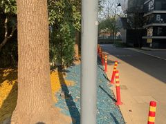 -尹兰楼西北风情餐厅(嘉定店)