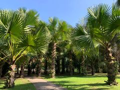 -中国科学院西双版纳热带植物园