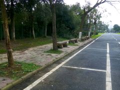 -艾溪湖湿地公园