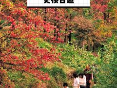 -四明山国家森林公园