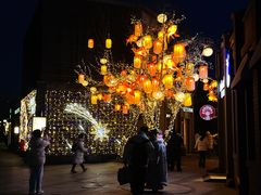 -龙湖星悦荟(颐和店)