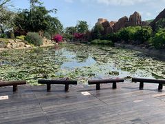 -芽庄珍珠岛游乐园