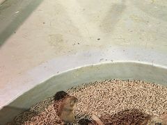 -正佳雨林生态植物园