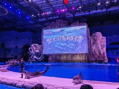 -华夏文旅海洋公园