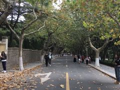 -八大关景区