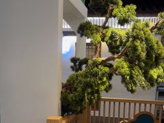-呷湘厨·家宴·鱼汤捞饭(津南店)