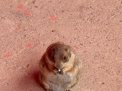 -杭州野生动物世界