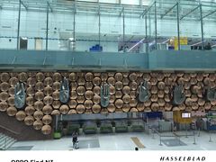 -英迪拉·甘地国际机场