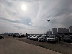 -第35届青岛国际啤酒节