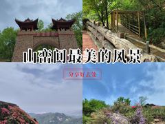-木兰云雾山