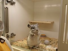 -龙猫仔乐园(惠福东路店)