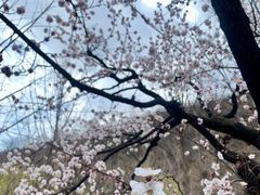 -北京水岸山吧度假村(雁栖镇店)