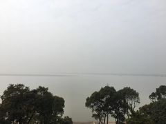 -湖南东洞庭湖国家级自然保护区