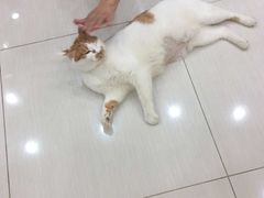 -惠康宠物医院(华能路店)