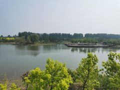 -东郊湿地公园