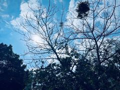 -粤剧艺术博物馆