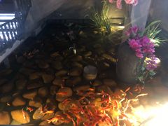 -新悦·霞浦海鲜生(上下杭店)