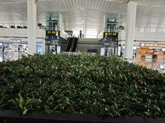 -石家庄正定国际机场-T2航站楼