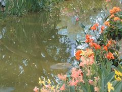 -人民公园(罗湖区)