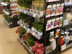 -AEON永旺(东方宝泰店)