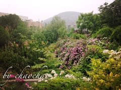 -山东艺术学院(长清校区)