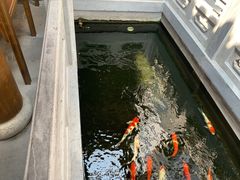 -鲤院·新中式美学·庭院餐厅(夫子庙店)