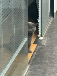 -飛凡TATTOO纹身•原创