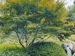 -菊花台公园