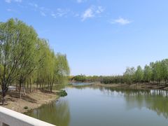 -东郊湿地公园