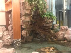 -天明山温泉大酒店