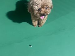 -杭州GS网球俱乐部(西城广场店)