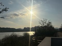 -江心屿景区