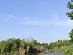 -白鹭湾湿地公园