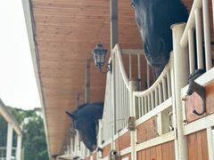 -名驭国际马术学院
