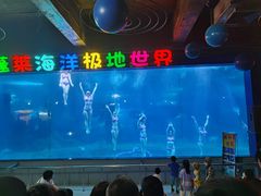 -蓬莱欧乐堡海洋极地世界
