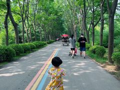 -日照海滨国家森林公园