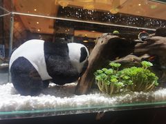 -红辣椒·川菜·火锅(科华路店)
